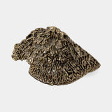 Pullcast Fungi Handles