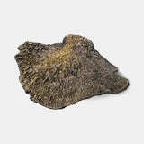 Pullcast Fungi Handles
