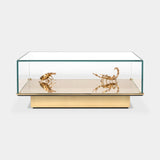 Boca do Lobo Metamorphosis Center Table in Emperador marble, front view of the glass section