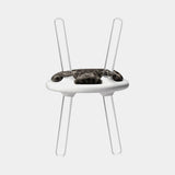 Circu Illusion Leopard Chair