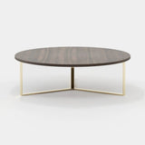 Laskasas Dili Coffee Table in Smoked Eucalyptus Veneer Matte, second view