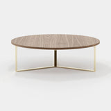 Laskasas Dili Coffee Table in Walnut Veneer Matte