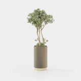 Laskasas Gold Flower Pot in Beige Grey Lacquer Matte