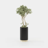 Laskasas Gold Flower Pot in Black Lacquer Matte