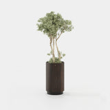 Laskasas Gold Flower Pot in Smoked Eucalyptus Veneer Matte