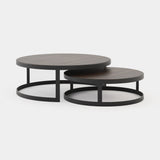 Laskasas Lua Coffee Table in Smoked Eucalyptus Veneer Matte