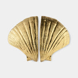 Pullcast Seashell Handles and Door Pulls