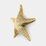 Pullcast Stella Door Pull