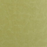 Designers Guild Matara Peridot FDG2648/49