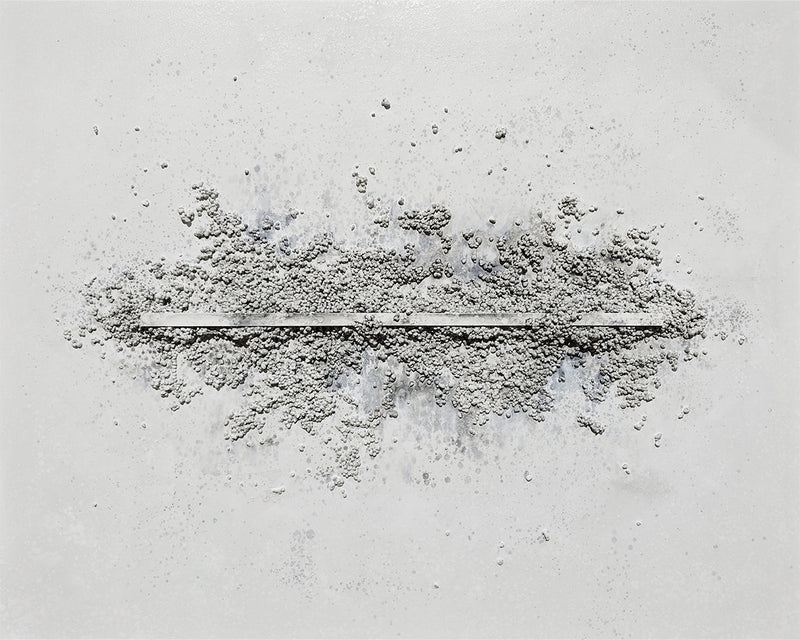 Ligne Claire Canvas Artwork