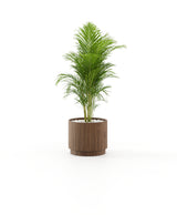 Laskasas Gold Flower Pot