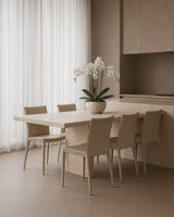 Othello Dining Chair - Set of 2 - Cream