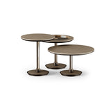 Aster Sister Coffee Table, view 2