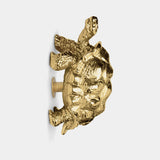 Circu Turtle Handle
