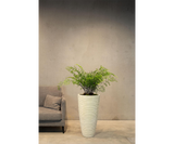 Stylish cream stripe floor vase featured in a sophisticated indoor setting.