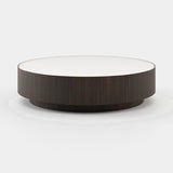 Laskasas Gold Coffee Table in Smoked Eucalyptus Veneer Matte