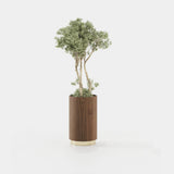 Laskasas Gold Flower Pot in Walnut Veneer Matte