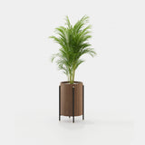Laskasas Rosie Flower Pot in Walnut Veneer Matte