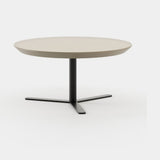 Laskasas Sen Coffee Table in Beige Grey Lacquer Matte