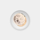 United Alabaster Saturn Cycle Wall Light in natural alabaster