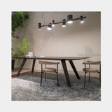 Valzer Adjustable Spot Linear Luxury Suspension Lamp, view 4