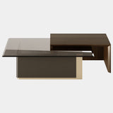 Inspired by modern architecture, the Robert Center Table is a combination of fluid clean lines and materials. The brass on the foot is involved by a thin wood layer, offering support to a rectangular surface made out of glass. Embellishing the design, it arises a beautiful wood structure protecting the vulnerability of the interior structure.