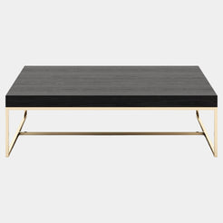 Mazzini Black Ash Coffee Table with Golden Legs